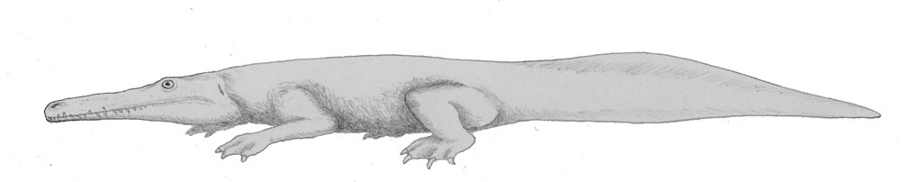 Старая реконструкция прионозуха.