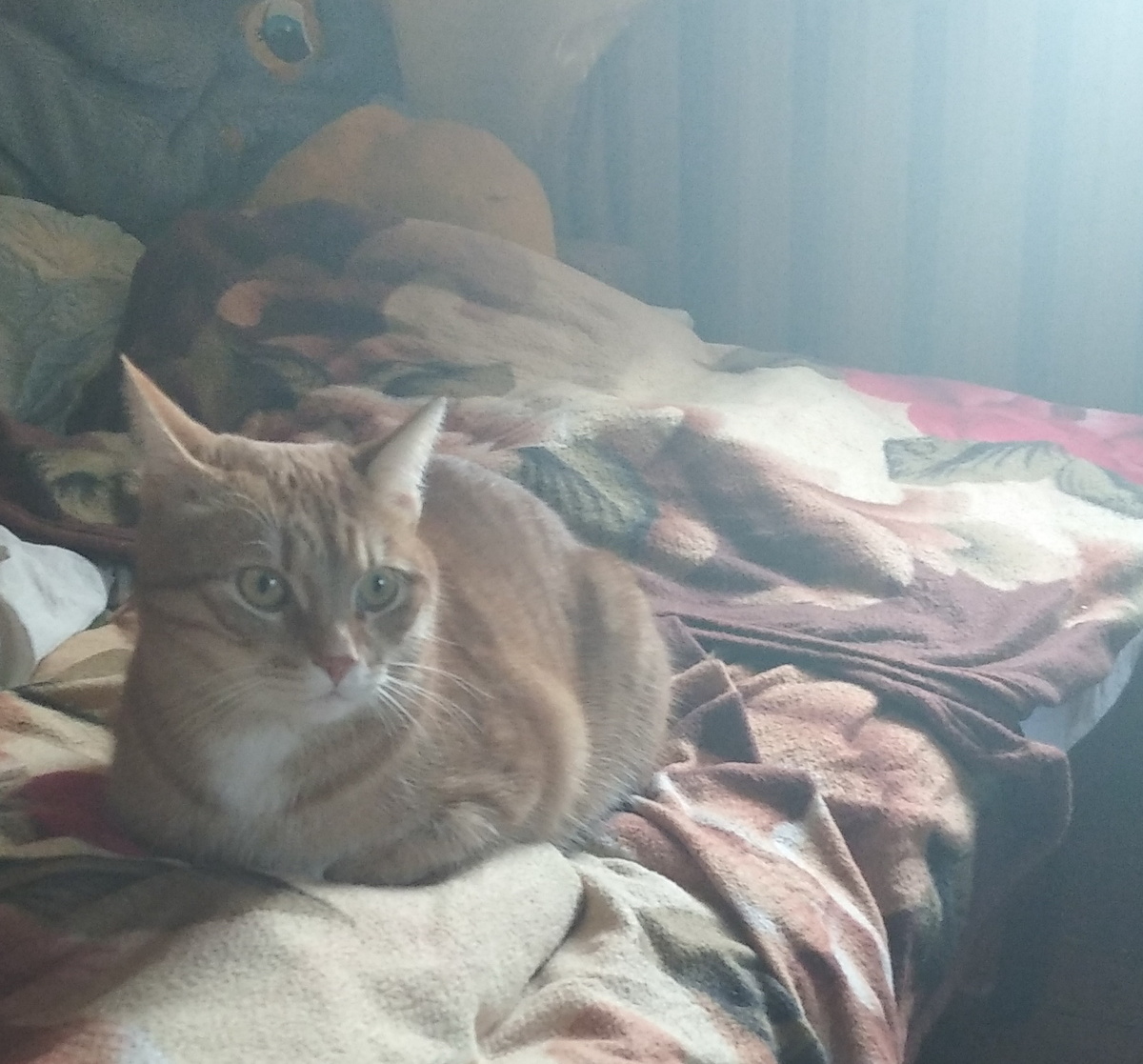 личное фото