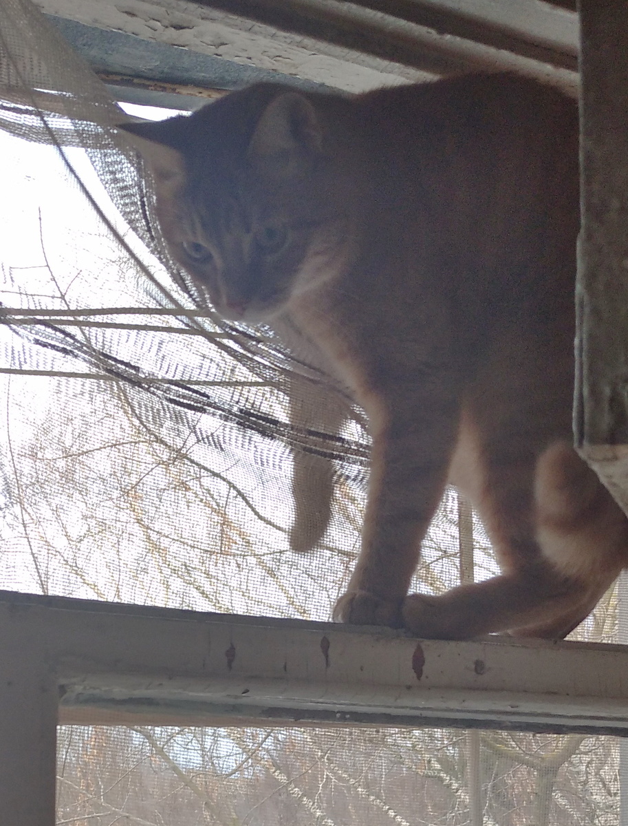 личное фото