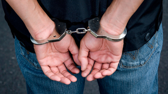    В Москве задержали бывшего замминистра просвещения по делу о хищении 54 миллионов рублей Богдан Герцен