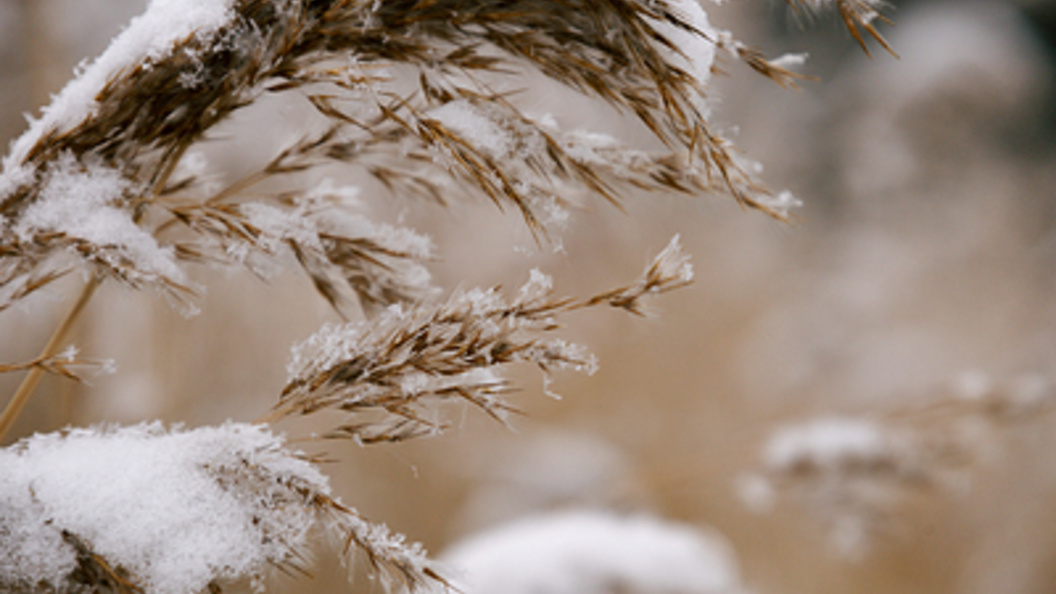    Фото: Anastasia Sorgina/Globallookpress.