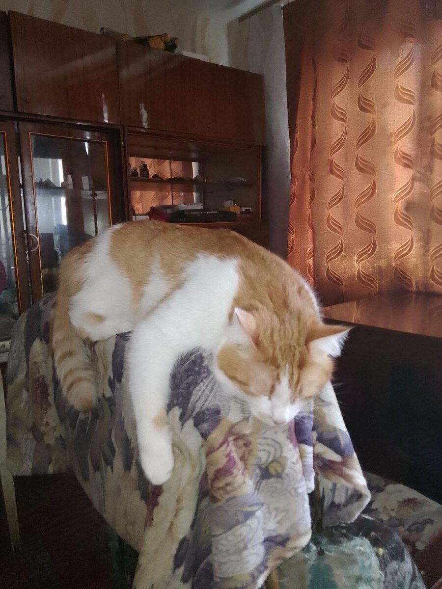 Байкер умаялся))