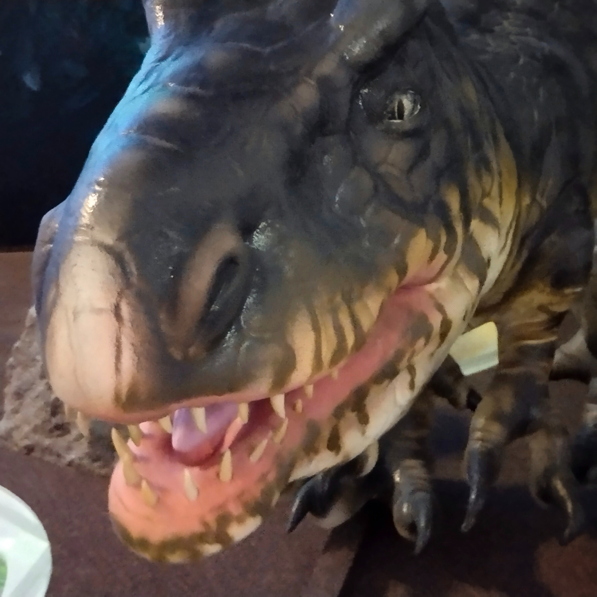 Фото автора канала