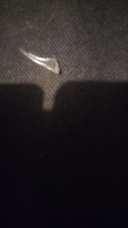      Фото: читательница "МОЁ!"