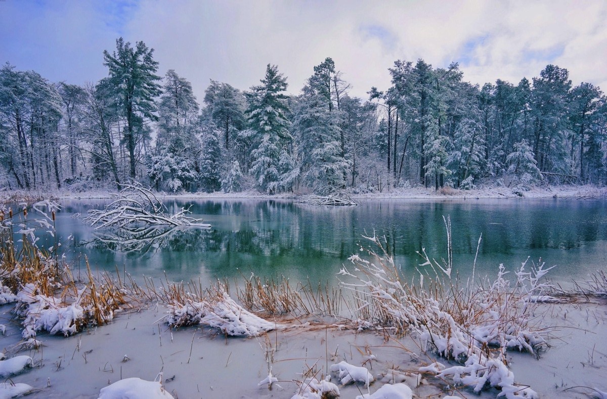 Фото взято из интернета.
