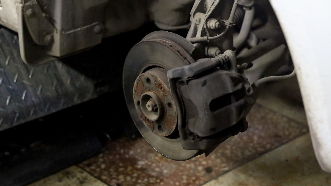    © Elena Mayorova/Globallookpress