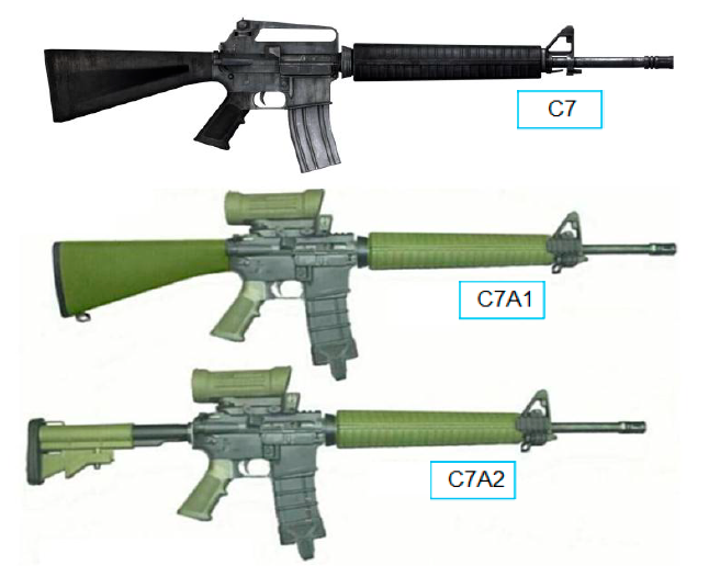 Винтовка С7 и ее модификации