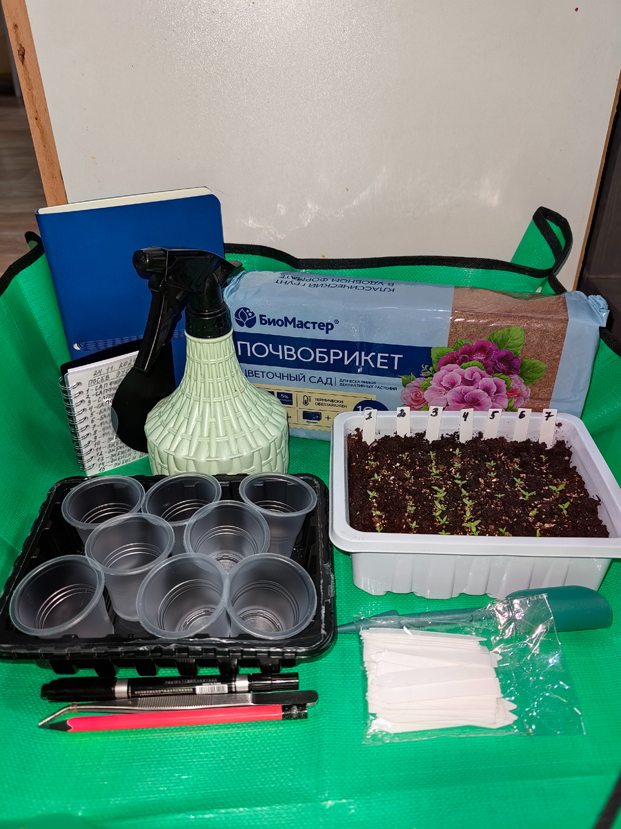 Рабочее место для пикировки