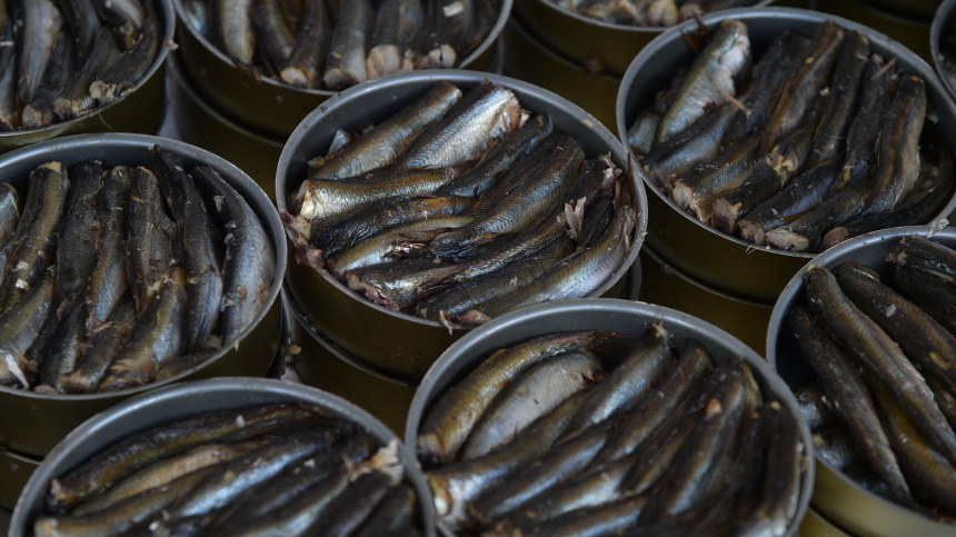    Фото: ИЗВЕСТИЯ/Александр Полегенько