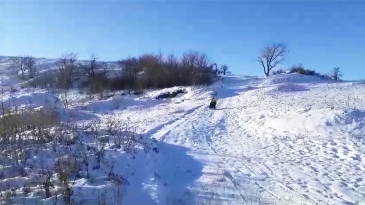 Саратовская тёплая и малоснежная зима