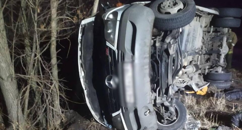    СУ СК России по Луганской Народной Республике/Telegram