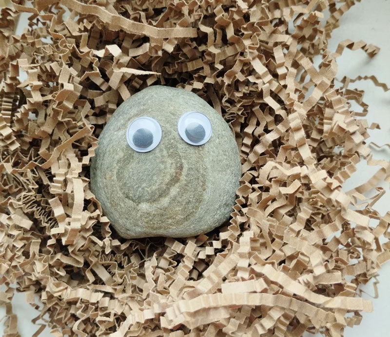 Вот такой камень питомец с глазами