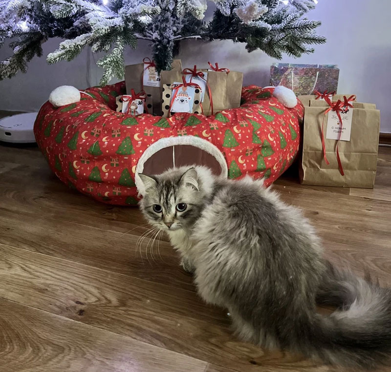 Тоннель для кошек под елку