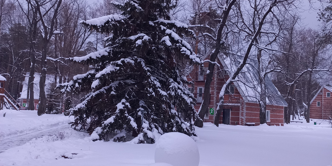 Предновогодняя суета. Поговорим о том, о сём.