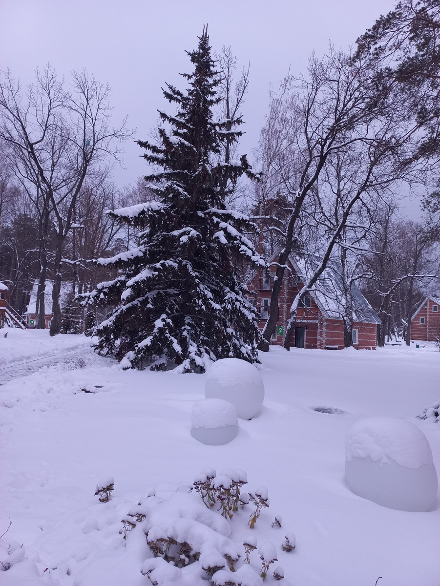 Турбаза "Лесная быль"