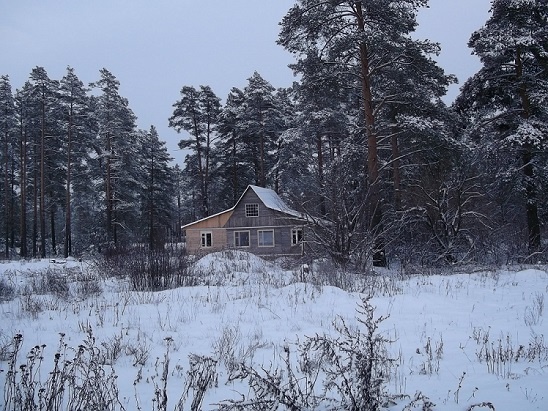  Вот она, родимая... Есть ещё и баня, но она за деревьями справа. А вообще бывают избы-развалюхи, там можно только пережить сложные обстоятельства...не более 