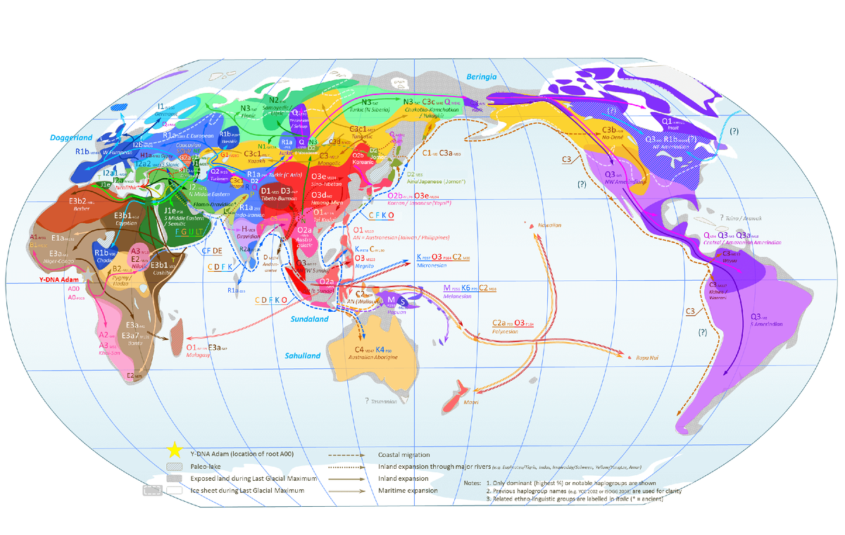 Y-хромосомные гаплогруппы мировой популяции в доколониальный период (Википедия)