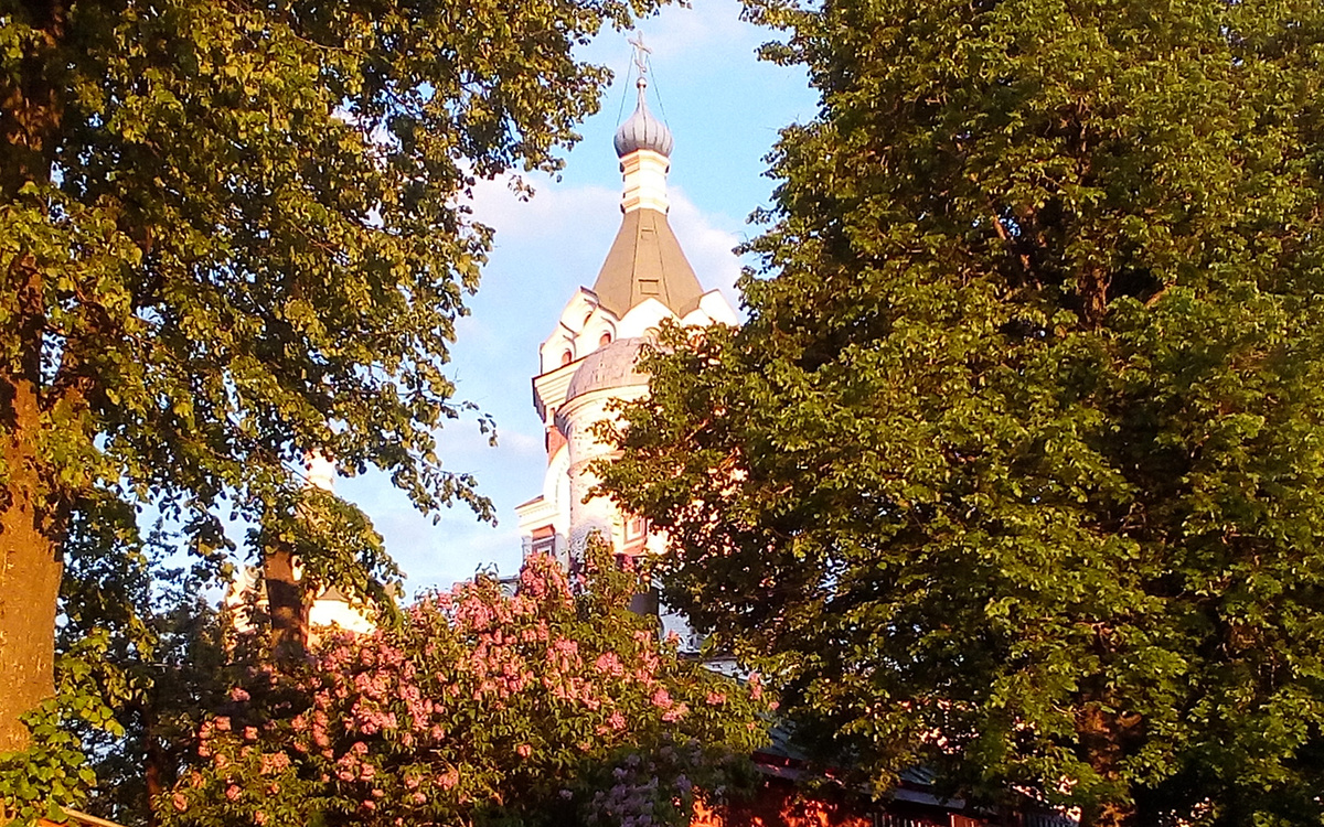 Храм  Иоакима и Анны. Весенний цвет