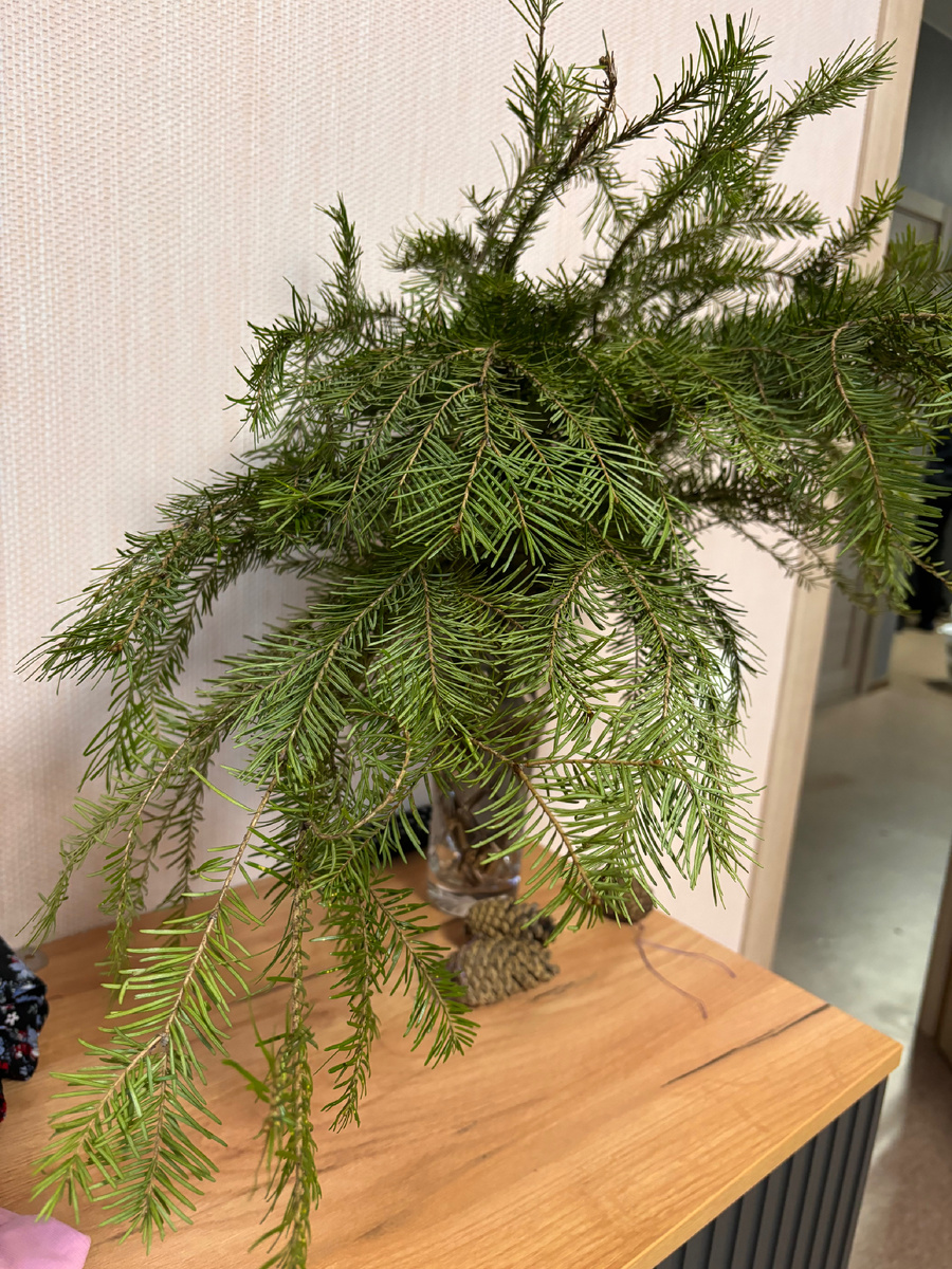 Теперь пахнет елкой 