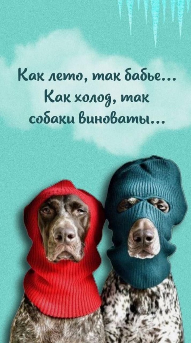 Картинка взята из открытого доступа в сети Интернет