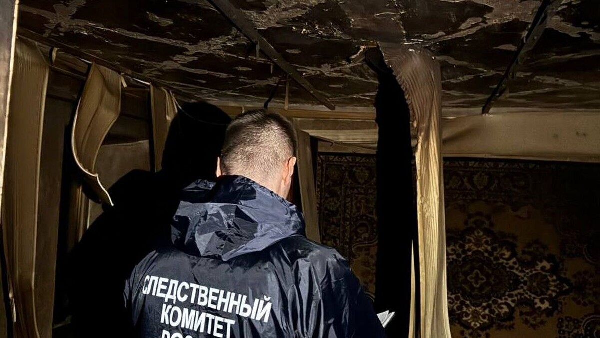    Фото: t.me/kubansledcom