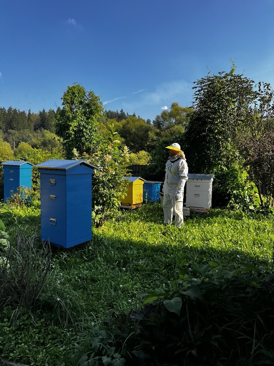 Семейная пасека Кулешовых