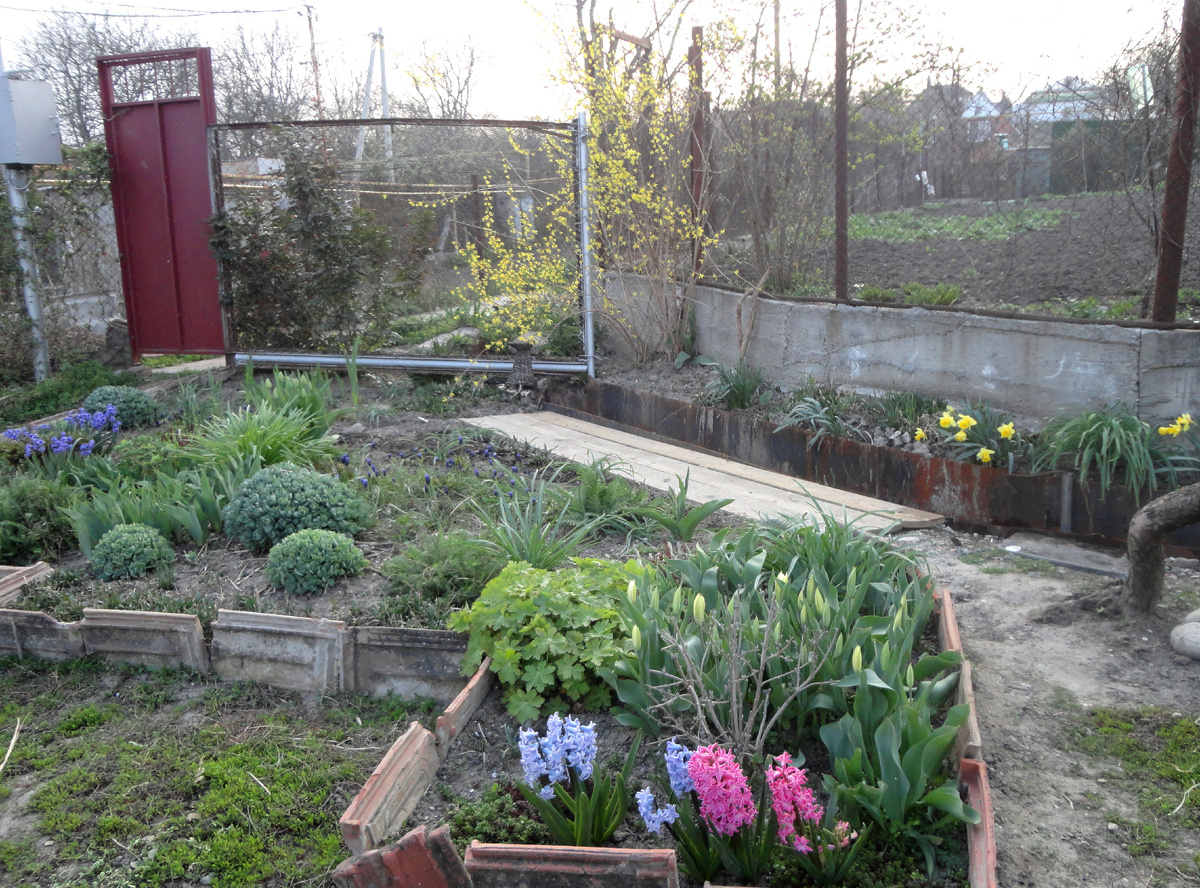 06.04.2013. г Так выглядела клумба у входа.