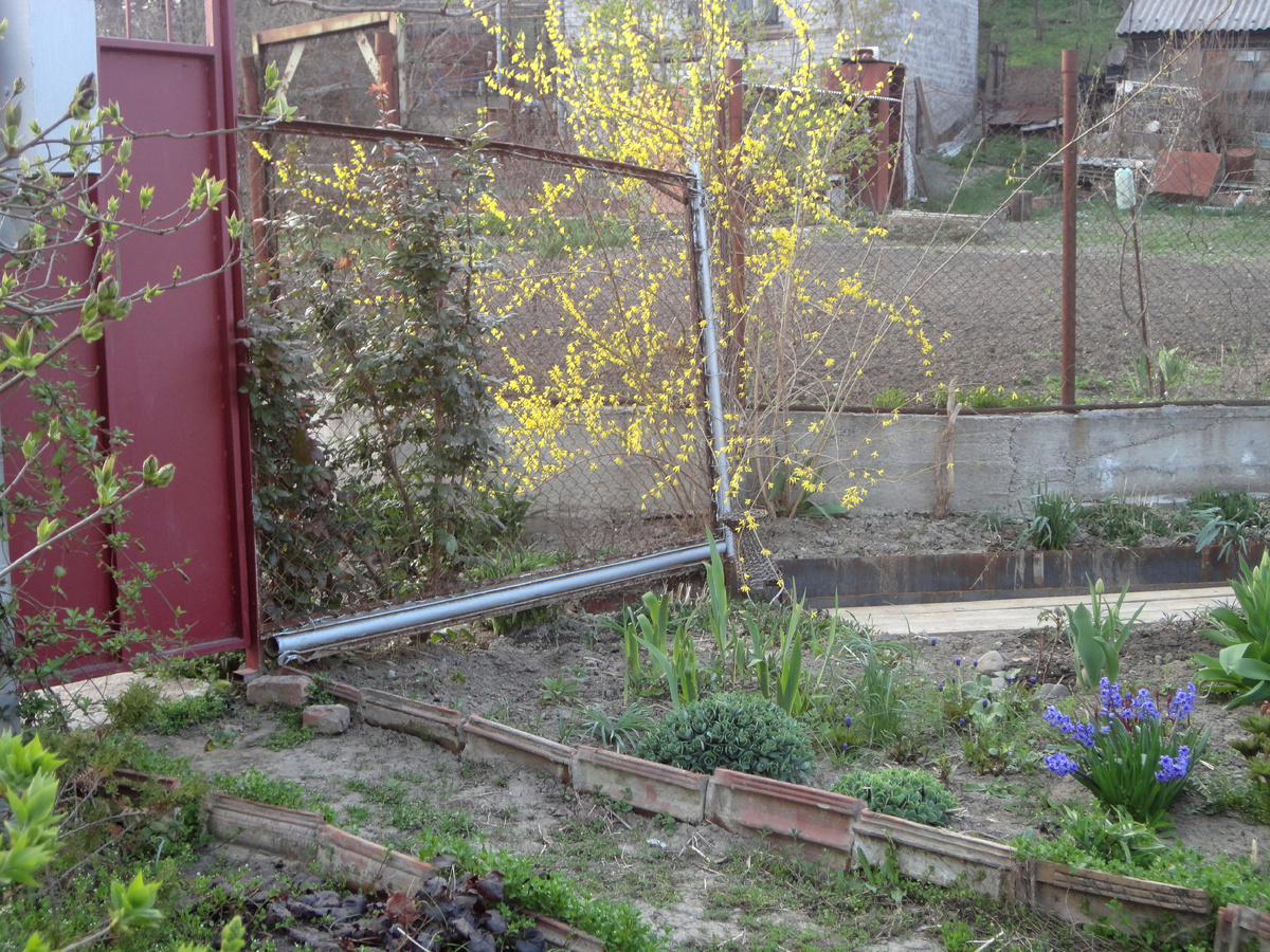 06.04.2013 год. Слева входная дверь на дачу.