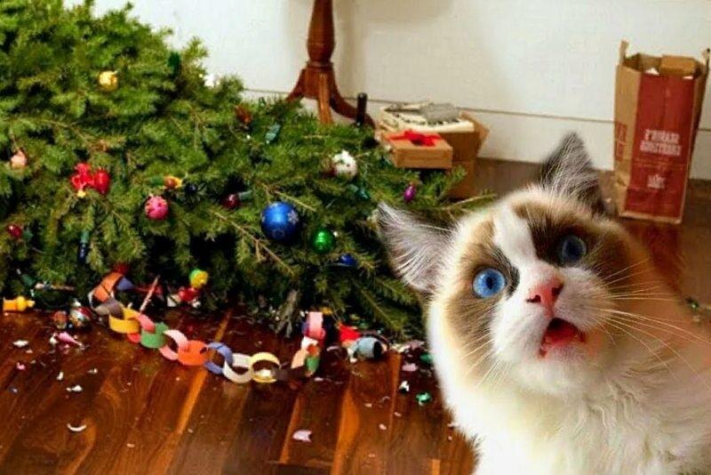 Свершилось!!!!