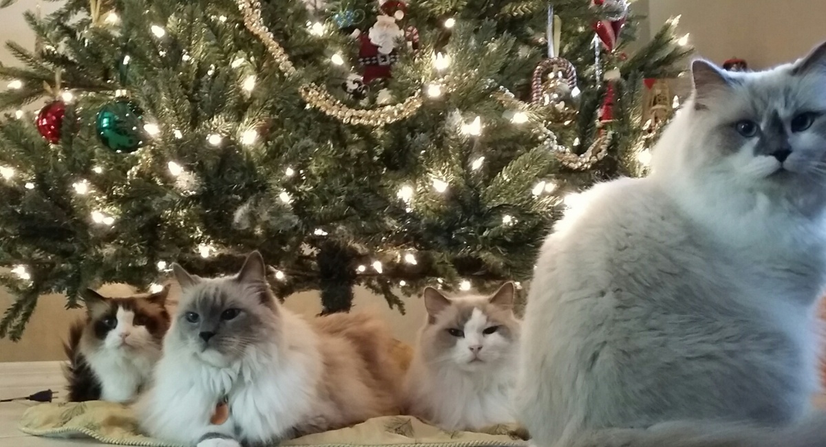 Объект захвачен бандой террористов