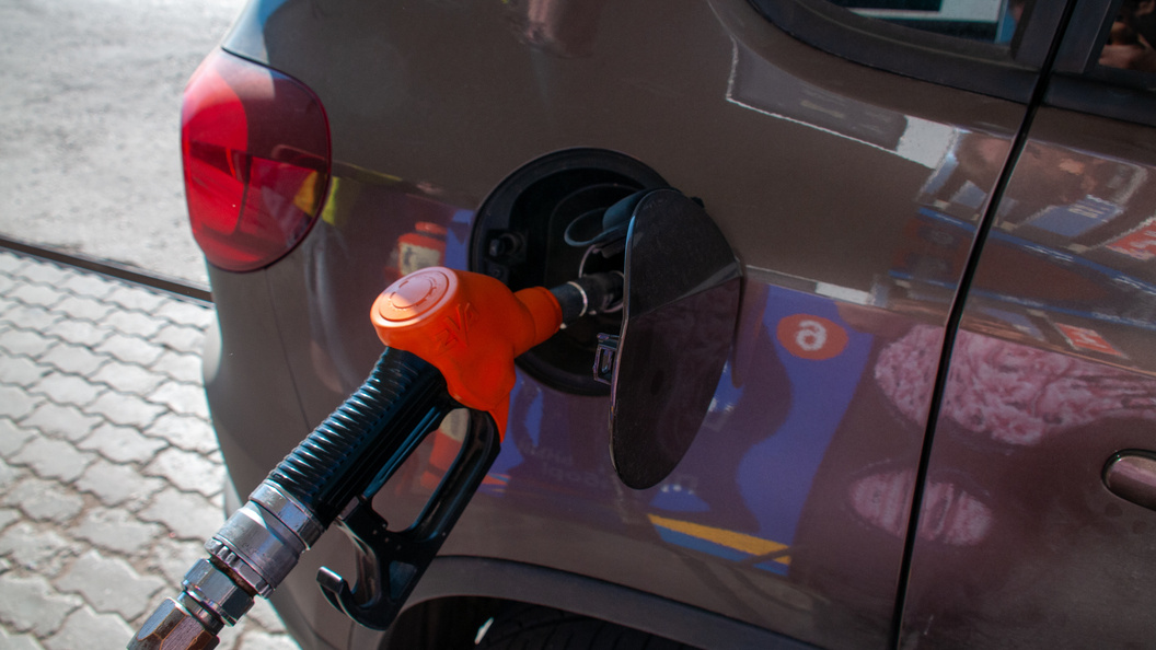    Svetlana Vozmilova/Globallookpress