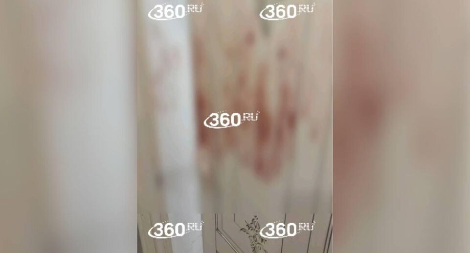     Телеканал «360»