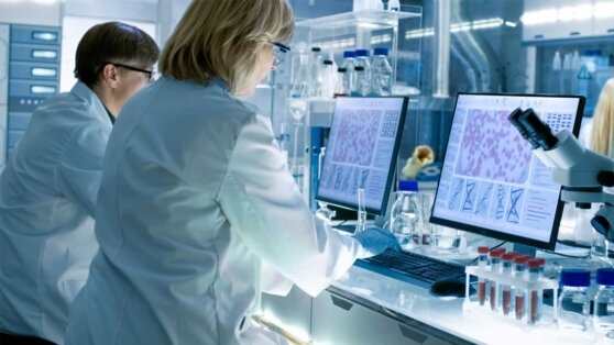    Ученые выделили из овса полимер, который поможет бороться с негативными последствиями радиации Роман Захаров