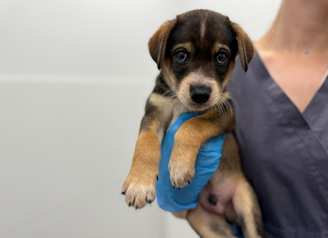 Сёмочка ♥️