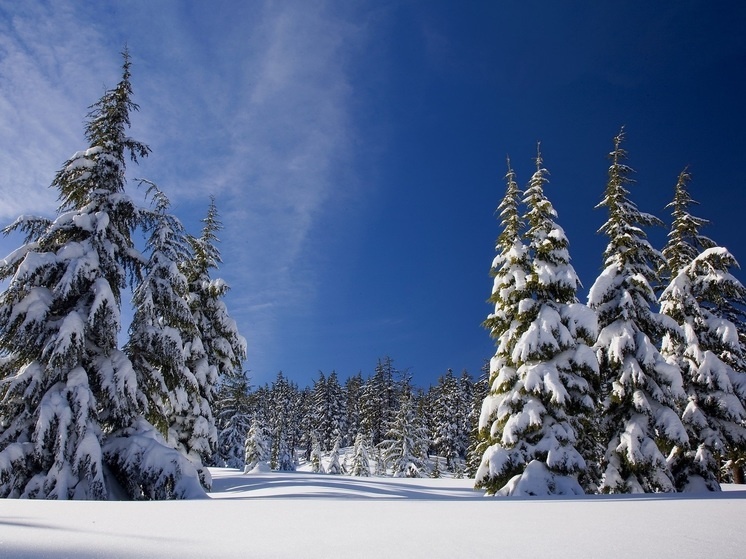     Фото: pxhere.com