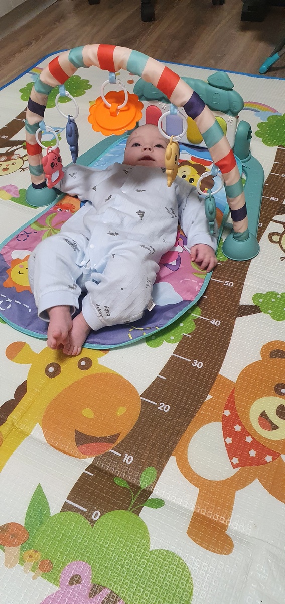 Сыну нравится висячие игрушки