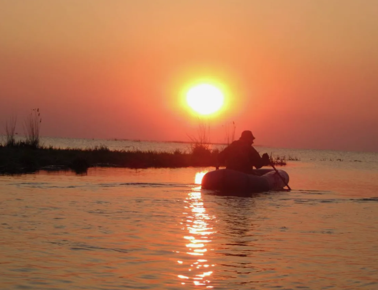 Из Яндекс картинок