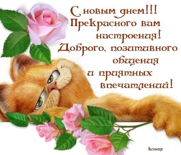 Из интернета для хорошего настроения)