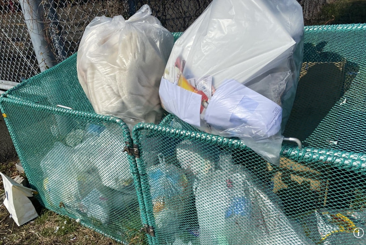 Знаете зачем там клетки для мусора? От енотов! Радиоактивных енотов