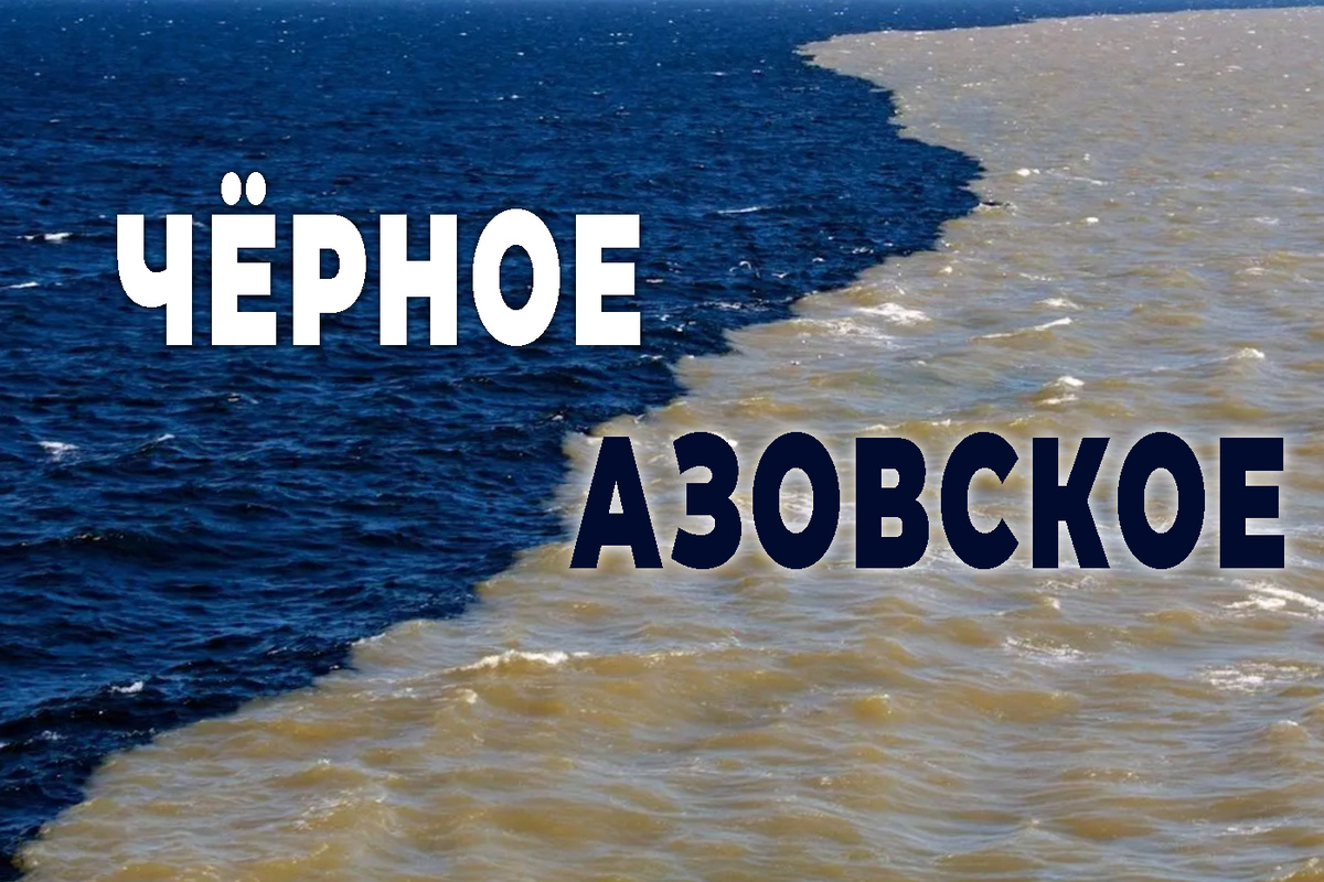 Какое выберите вы