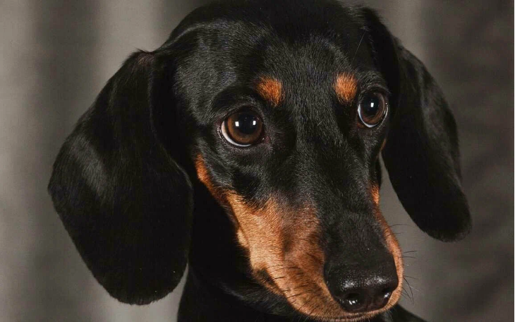 Фото из свободных источников