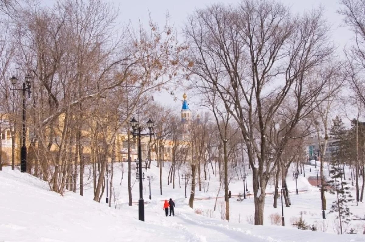    Стабильный мороз: какая погода будет в Хабаровском крае 22 декабря