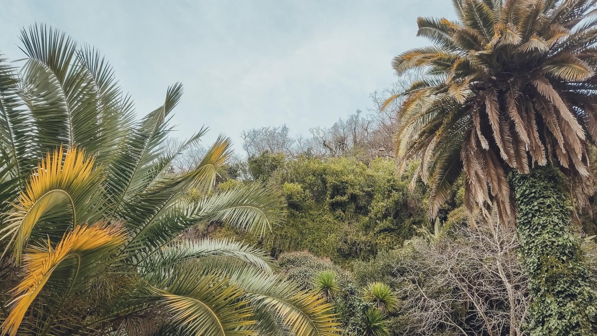     Источник: 1MI