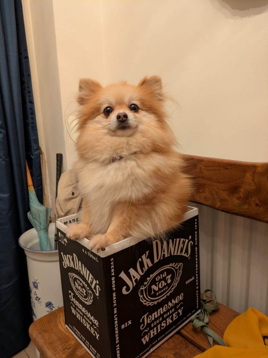 Фото из личного архива, декабрь 2024