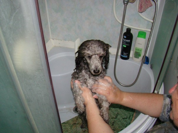 Фото Маргариты.