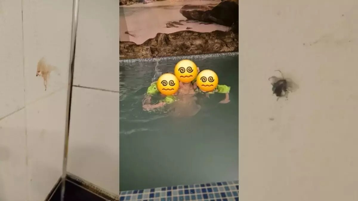     Источник: 2gis