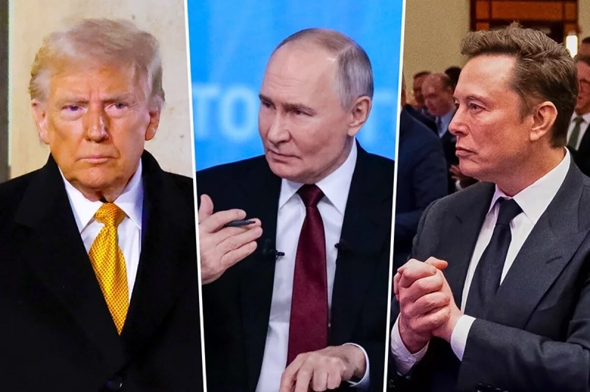    Дональд Трамп, Владимир Путин, Илон Маск.