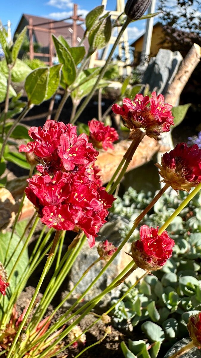 Я так же тянусь к свету