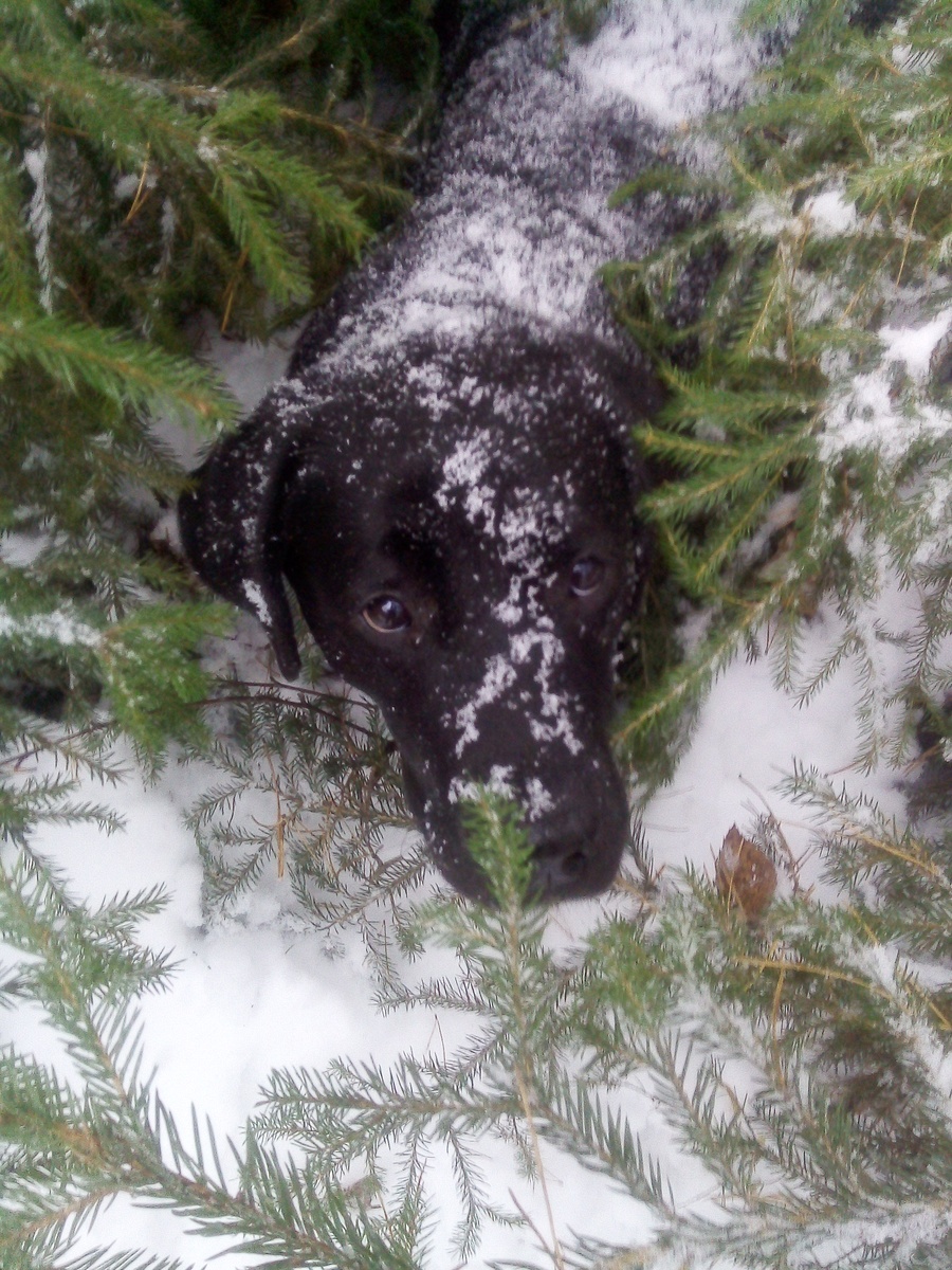 Фото автора.