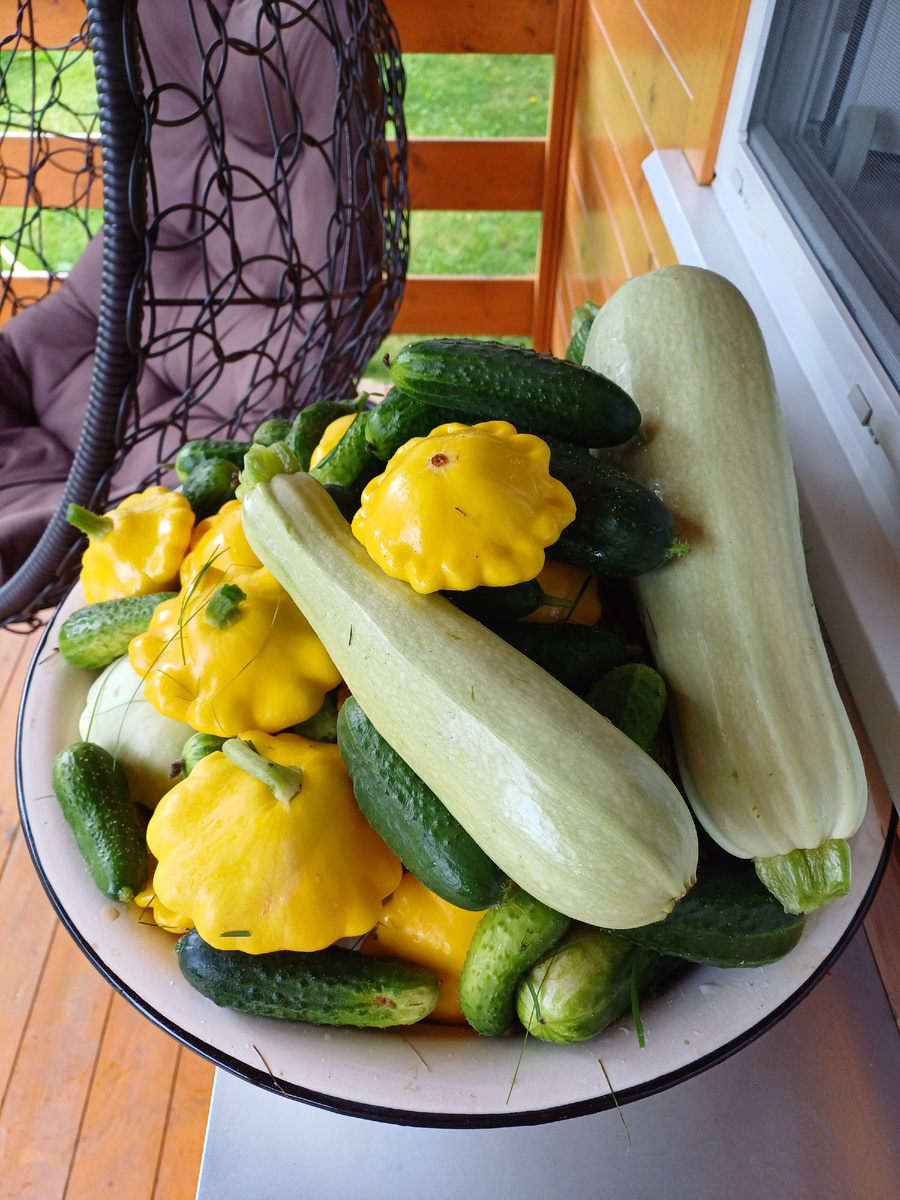 Урожай. Фото из архива авторов.